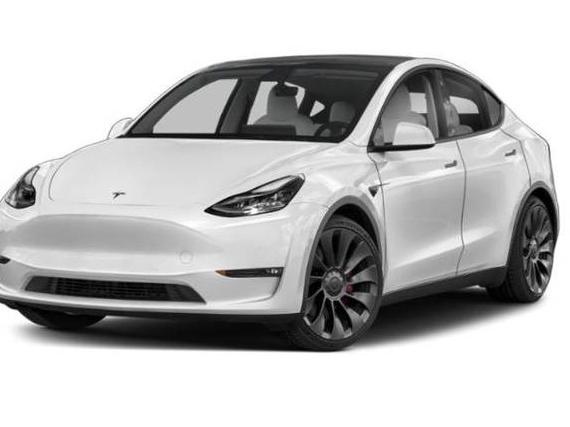 TESLA MODEL Y 2021 5YJYGDEF1MF081939 image